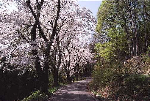 �k���΂֌������� 2