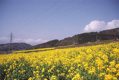 �k���΂ւ̓r��2