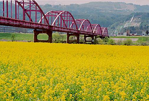 �s�X�n�̋߂�