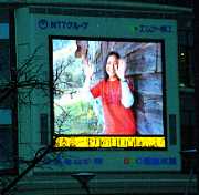 �㑺���q�I��